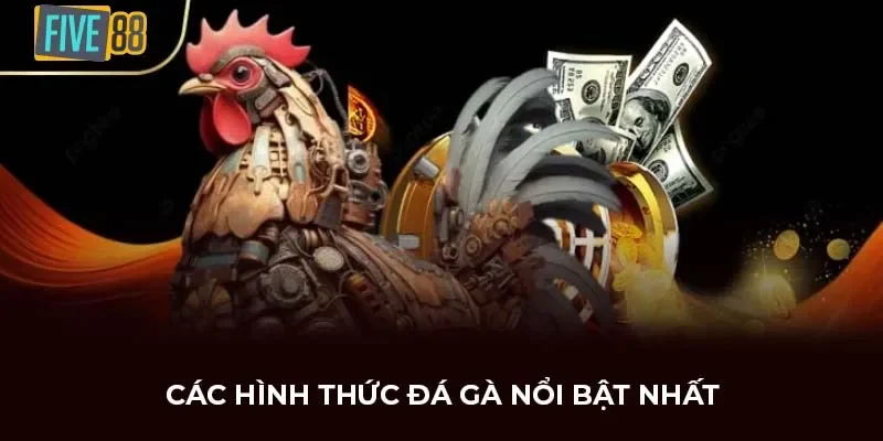Đá Gà Trực Tiếp Five88 - Trải Nghiệm Đỉnh Cao Cùng Cá Cược Uy Tín Và Hấp Dẫn