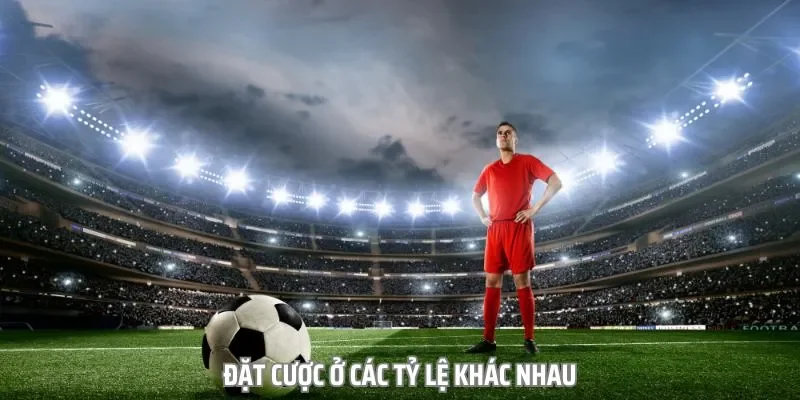 Phân tích các yếu tố ảnh hưởng đến đặt cược kèo