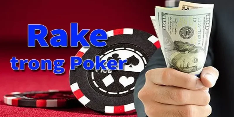 Hiểu rõ về rake trong Poker là gì