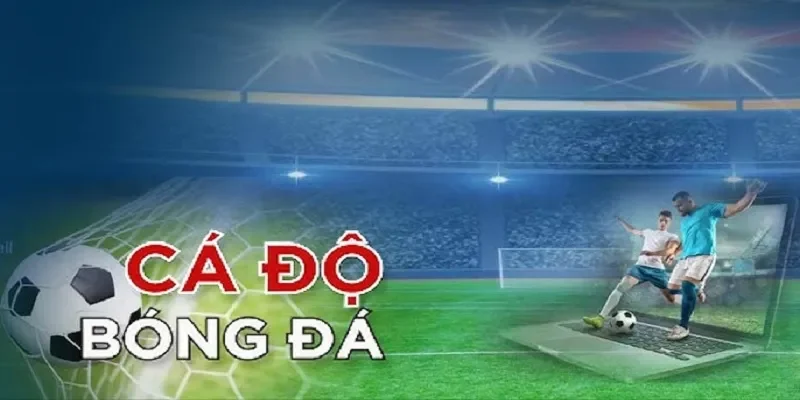 Top 5 app cá cược bóng đá - Nhà cái EE888